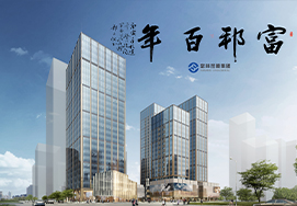 发展规划